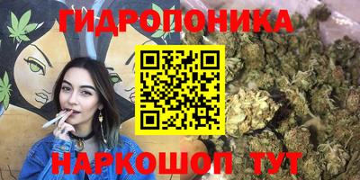 мдма Пенза