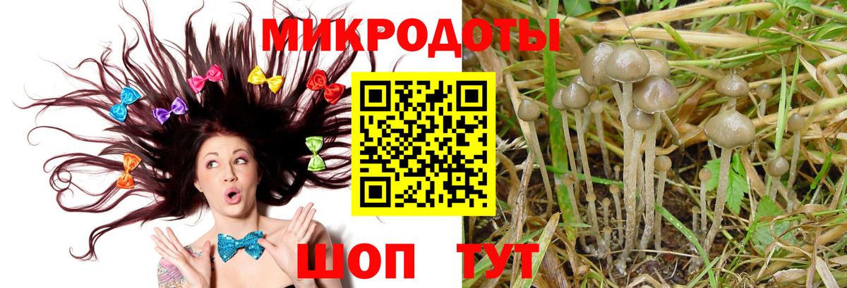 Сосновый Бор  Псилоцибиновые грибы ЛСД  купить  цена  Вход с VPN 